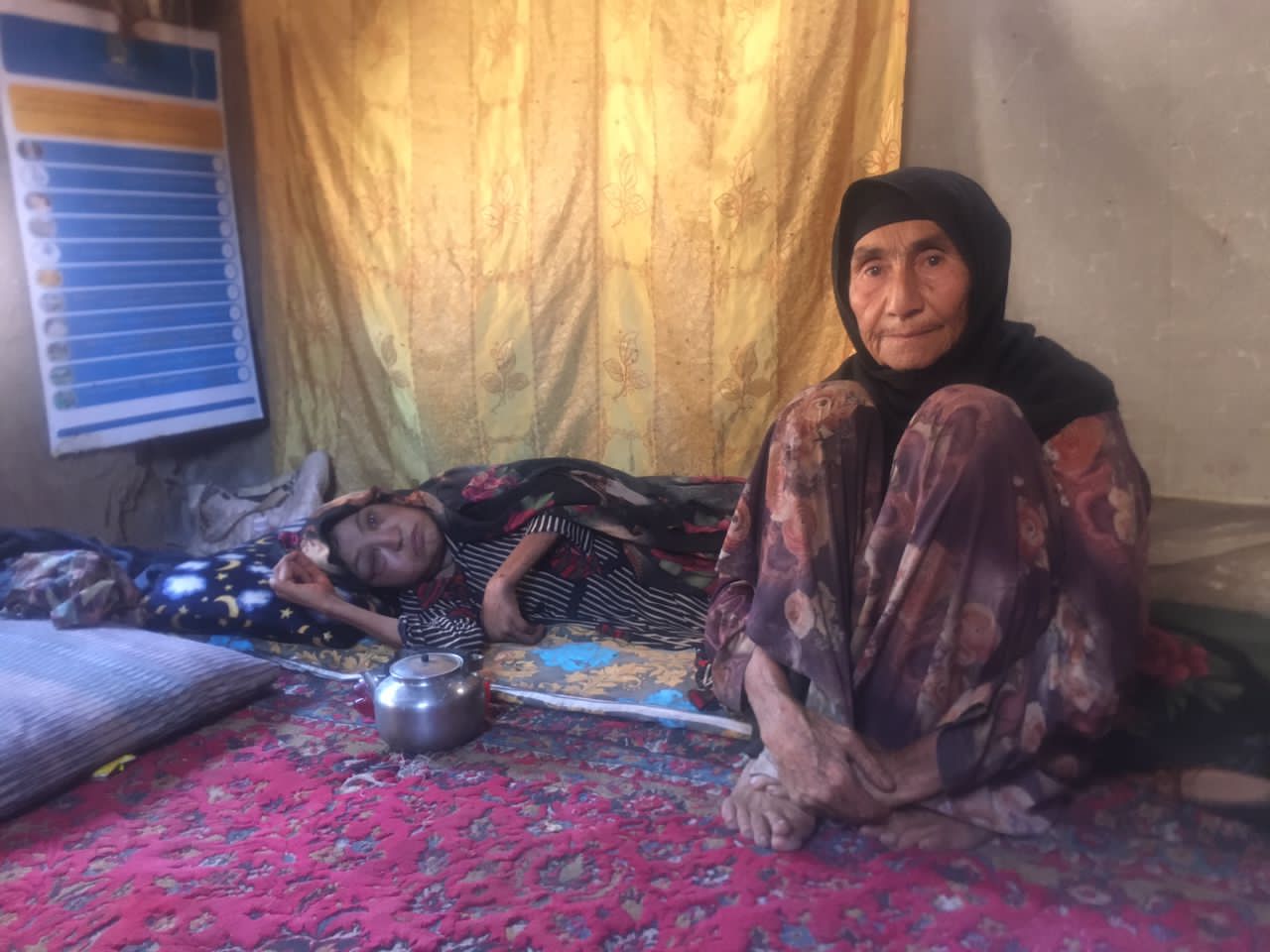 Help Bibi Shah Battle Cancer and Care for Her Family