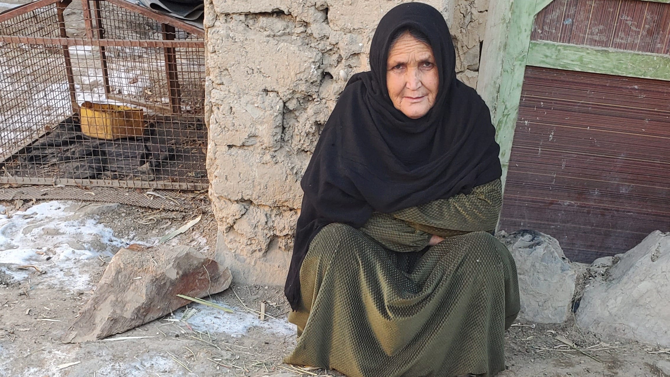 Help an Elderly Widow Survive Winter 2