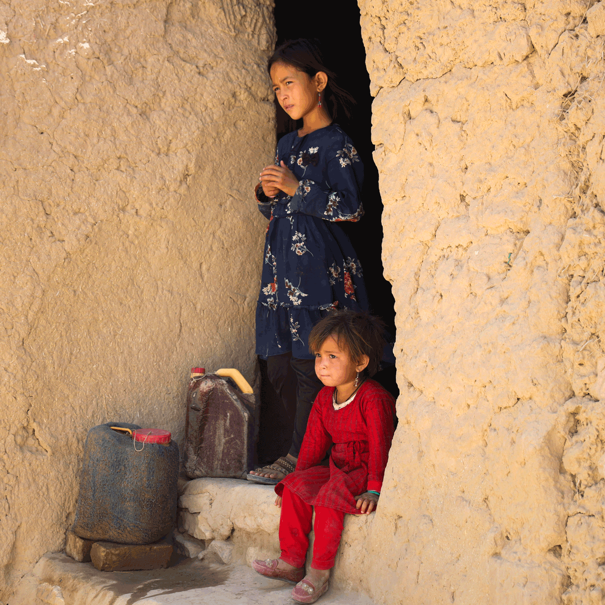 Support vulnerable families in Dasht-e Barchi