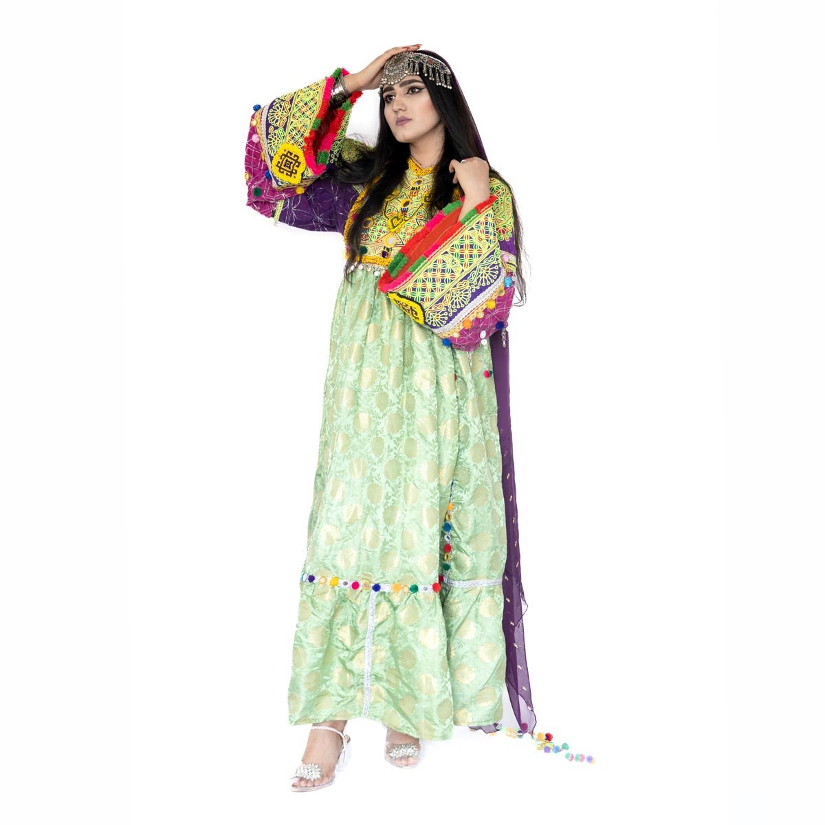 Pistachio Kochi Embroidered Long Dress | 2-Piece Banarasi Drop Waisted Dress with Shawl