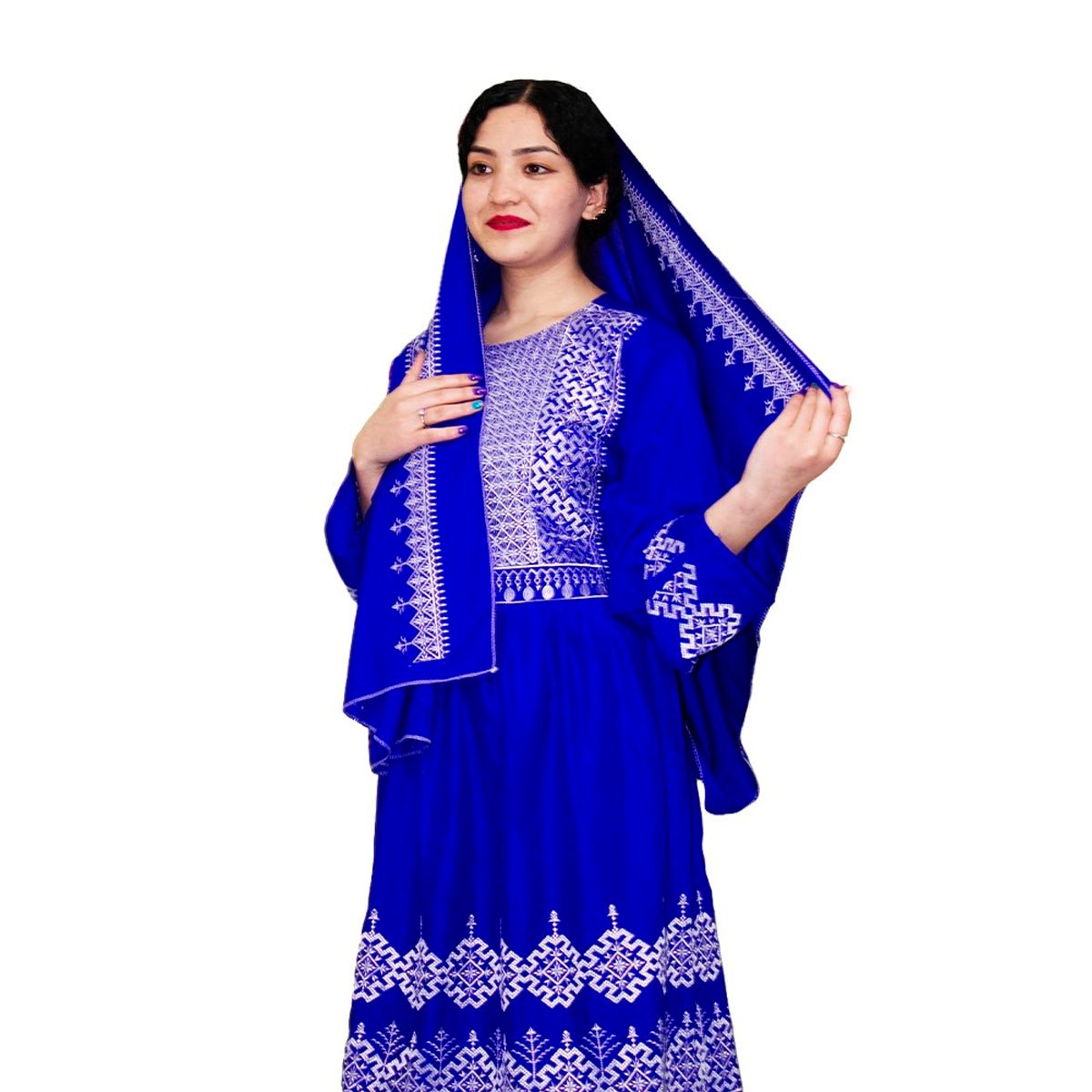 Hazargi Design Party Dress | Hand-embroidered Women Dress