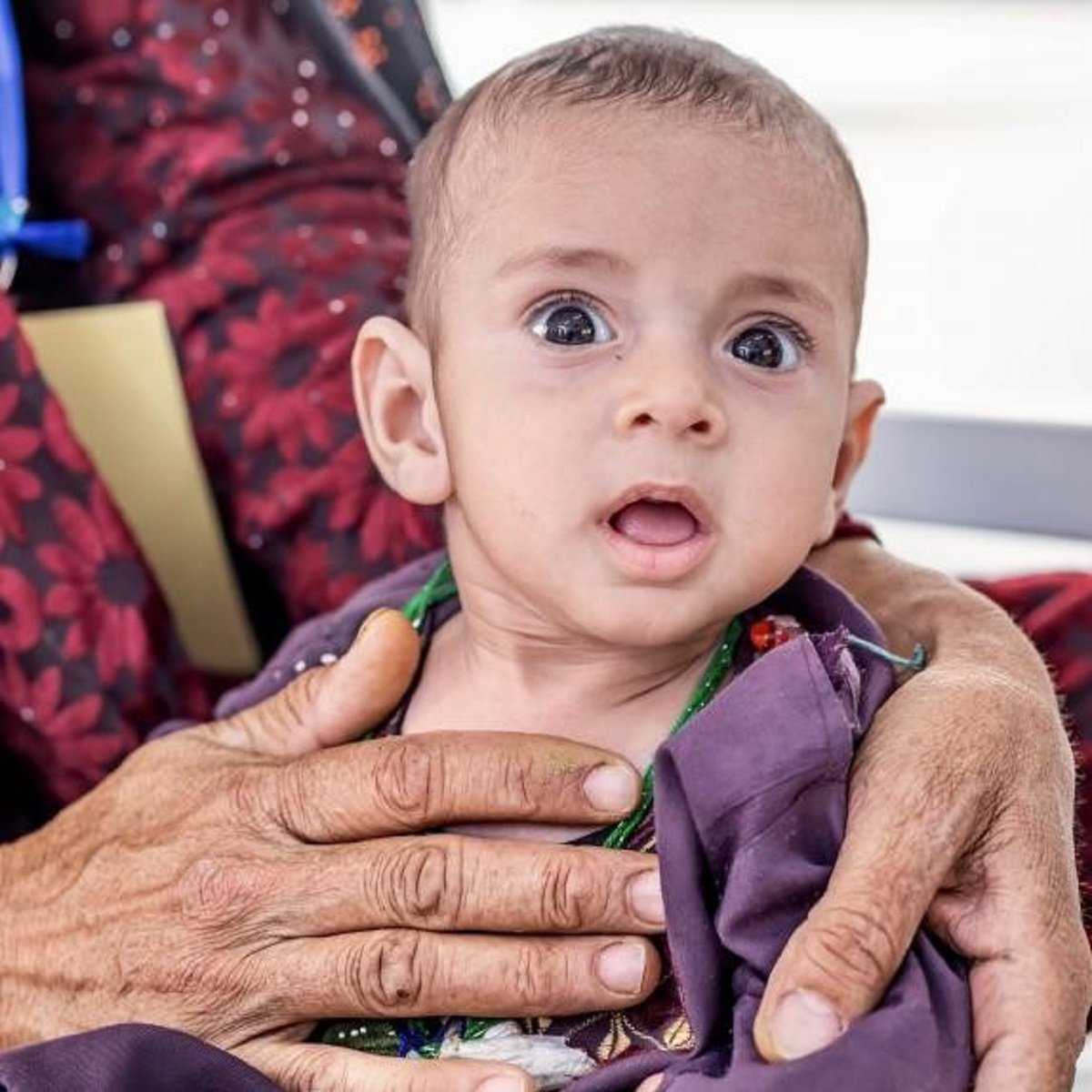 Humanitarian Support for Afghan Children