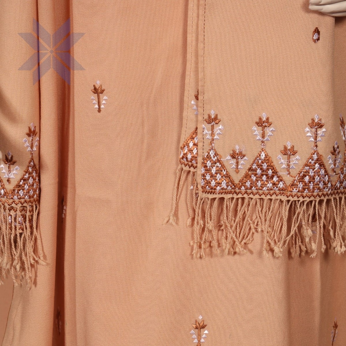 Gulnaar Peach Embroidered Set 2