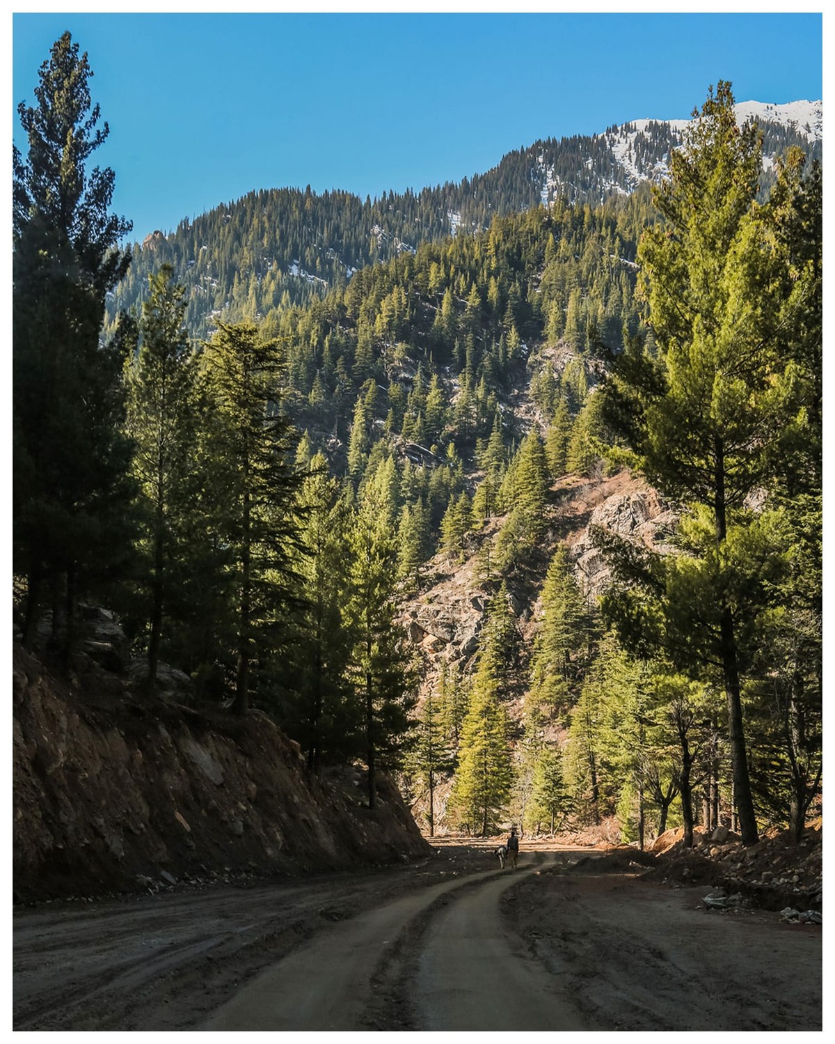 Nuristan Mountain Path | Photo Print by Zabih Habibi 1