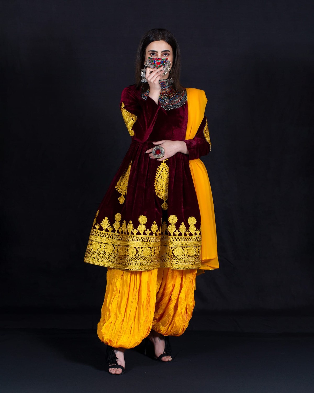 Velvet Silk Dress with Embroidered Skirt & Tribal Pants 4