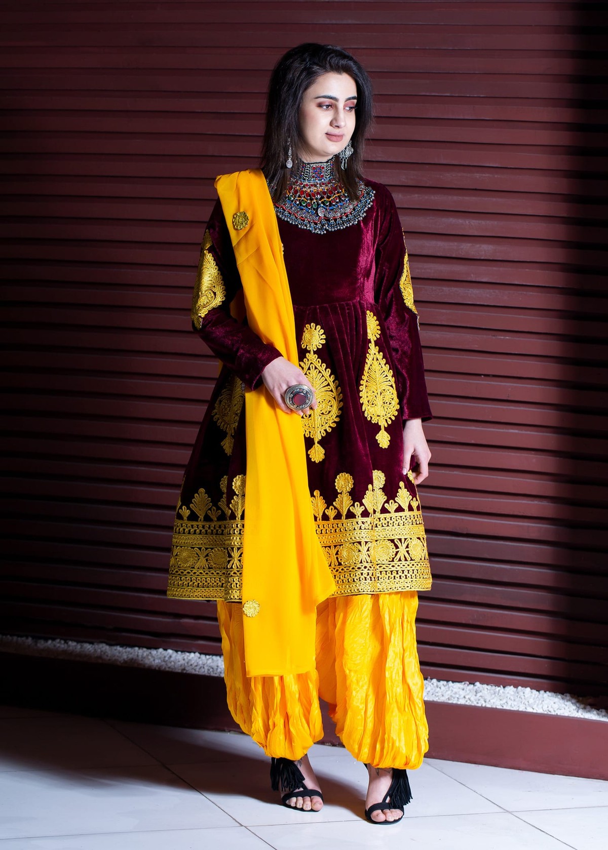 Velvet Silk Dress with Embroidered Skirt & Tribal Pants 6