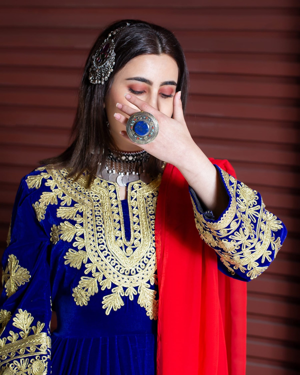 Traditional Velvet Silk Dress with Embroidered Sleeves and Skirt Full Set 2
