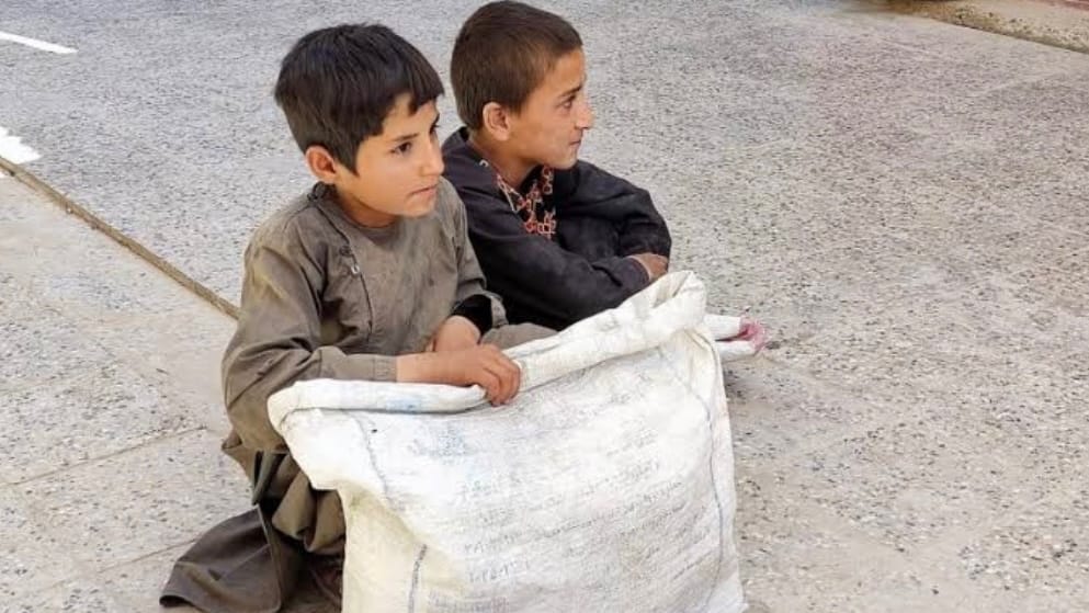 Supporting street children in Herat province 2