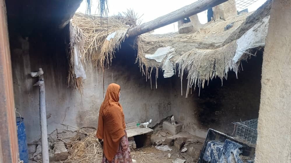 urgent support for Sabela 1