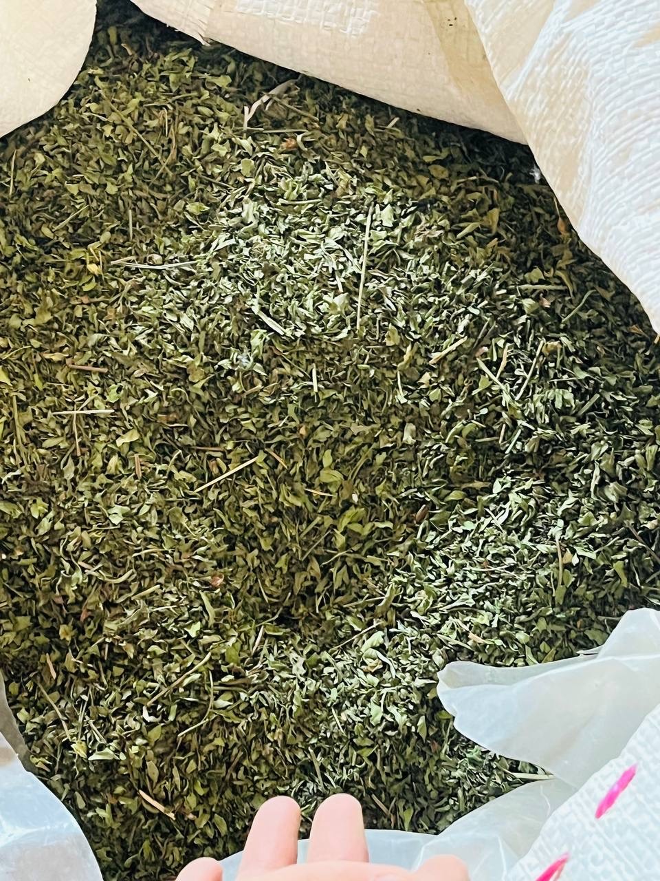 Herati Mint Leaves Single Origin, Extra Aromatic, Ethically Sourced Afghani 1 Oz (28.5 grams) 2