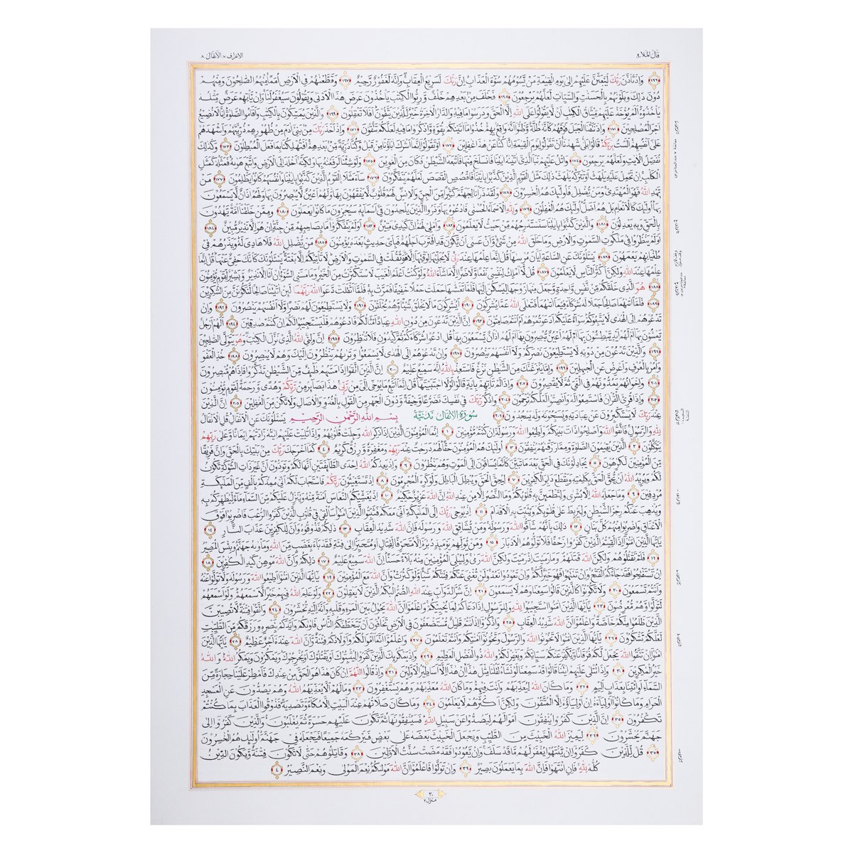 Complete Handwritten Holy Quran | 30 Separas of Quran 19