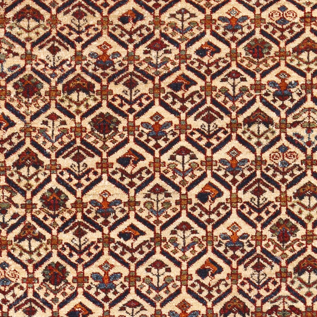 Shirawan Pattern Pure Handmade Afghan Prayer Rug | 4' 9" X 3' 5" 2