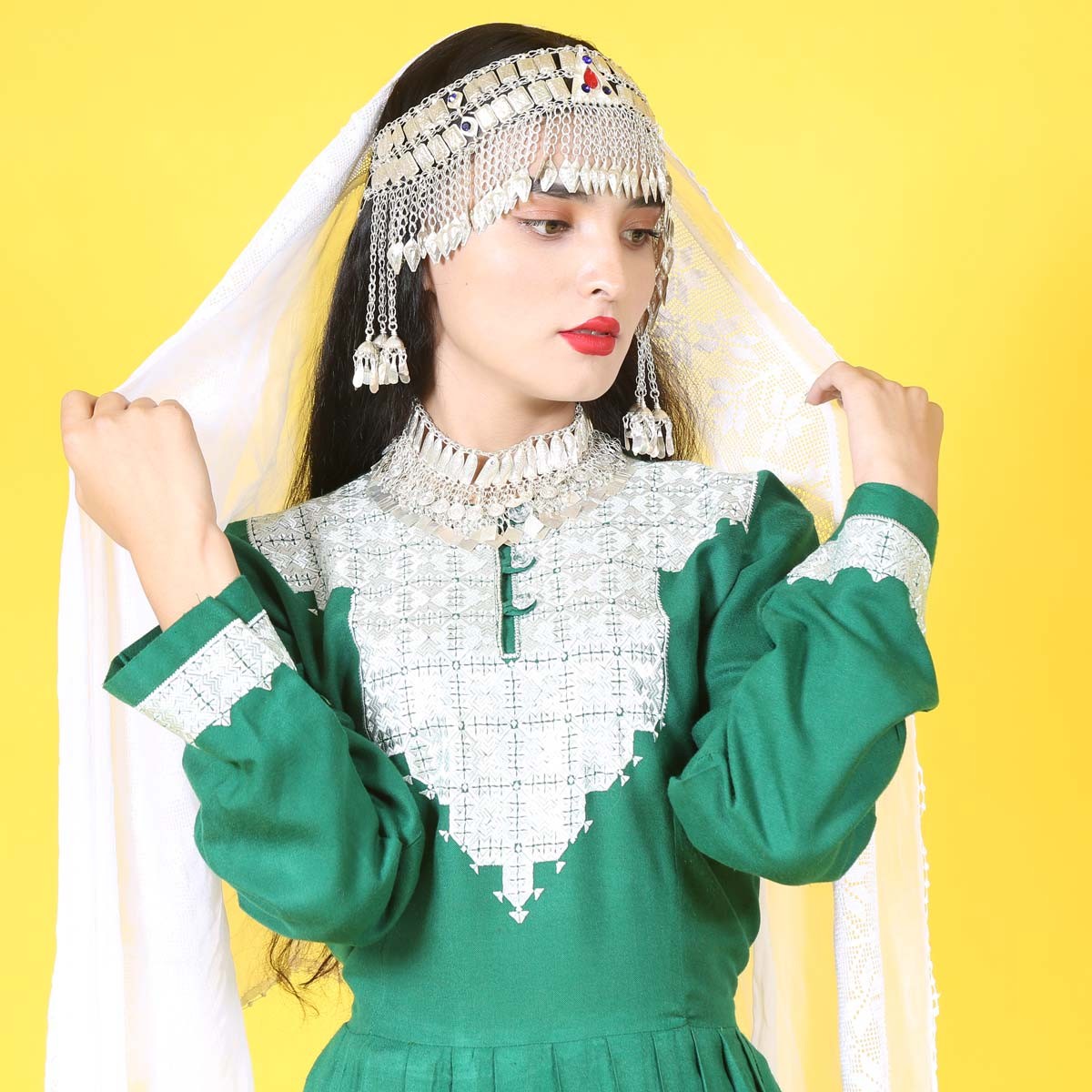 Hazargi Design Party Dress | Hand-embroidered Women Dress 4