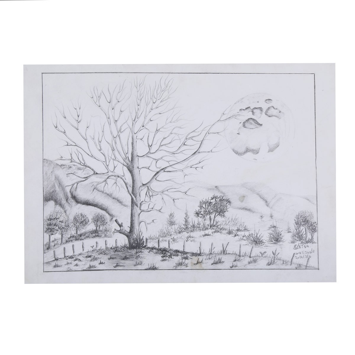 Solo Autumn Tree Pencil Artwork | Autumn Village View Sketch Work 1