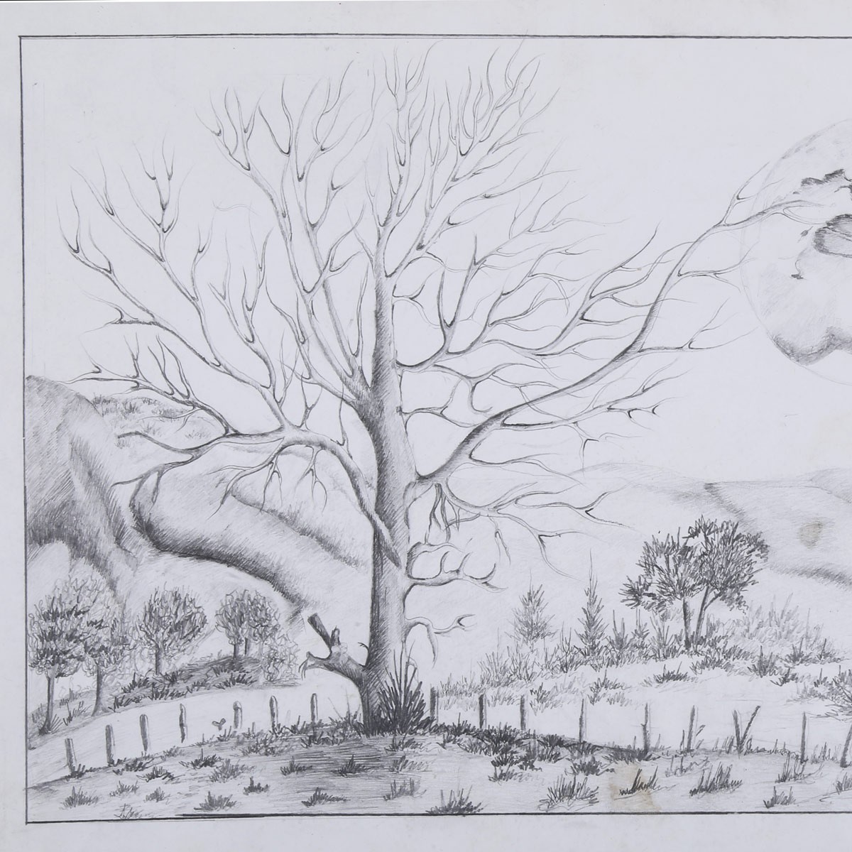 Solo Autumn Tree Pencil Artwork | Autumn Village View Sketch Work 2