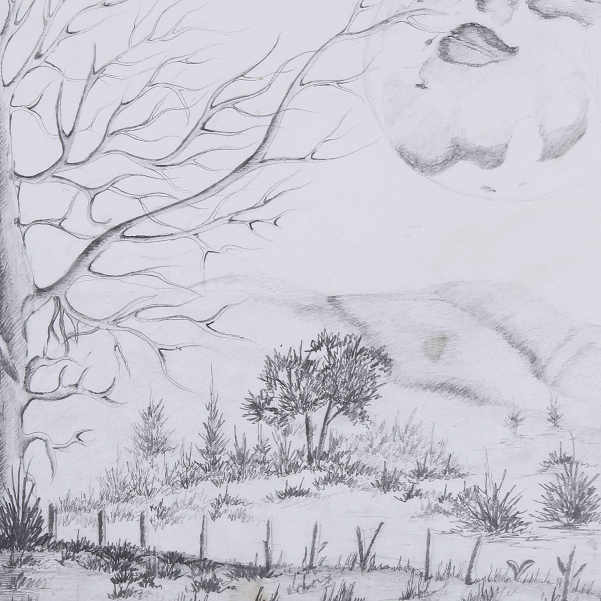 Solo Autumn Tree Pencil Artwork | Autumn Village View Sketch Work 3