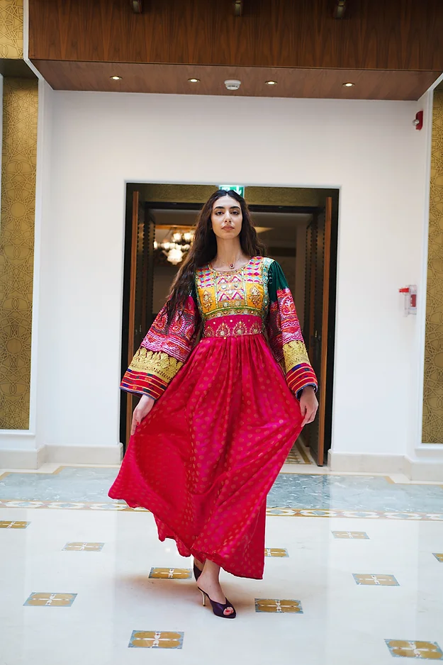 Pink Vintage Gand Sleeves, Banarasi Dress 3