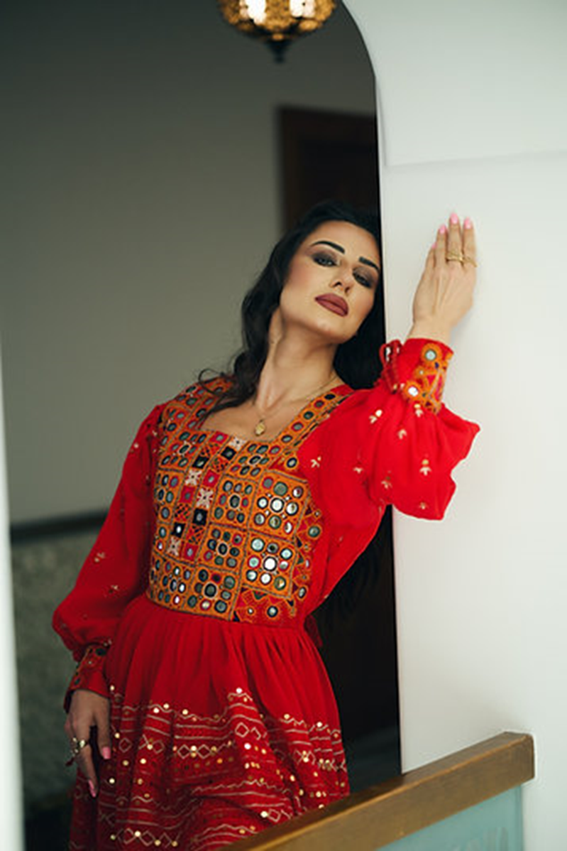 Red Vintage Mirror Embroidery Sequence Dress 2