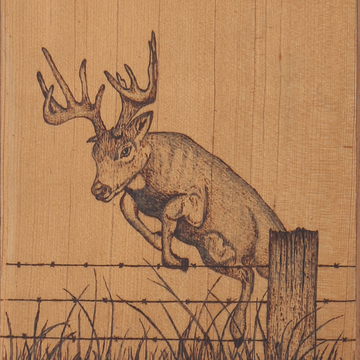 Deer Artwork on Walnut | Wall Hanging Artwork 2