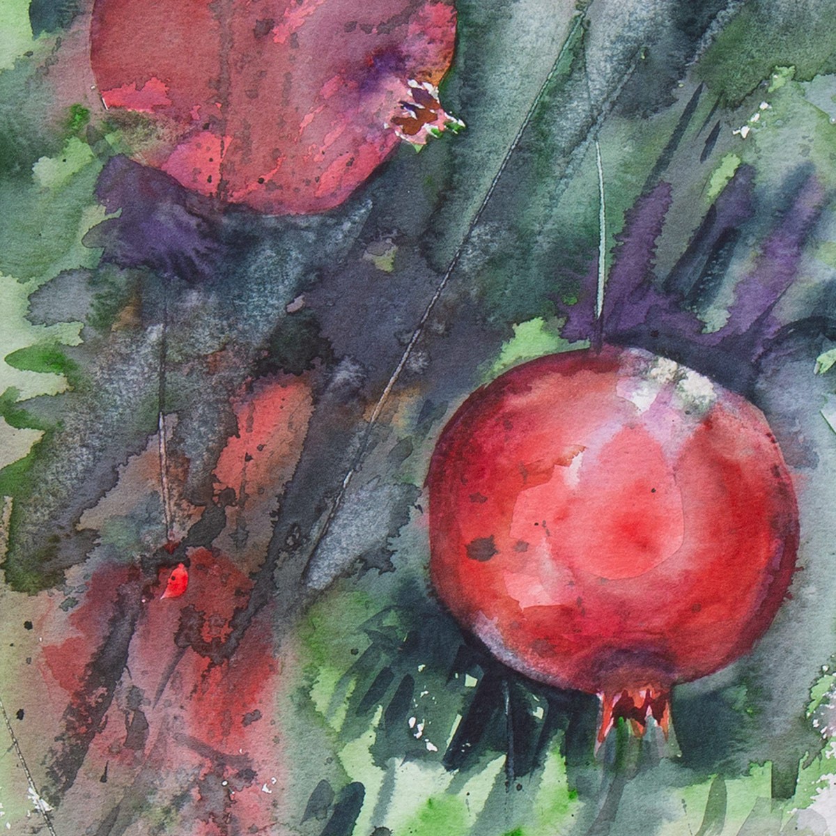 Pomegranate Artwork| Water Color Painting 2