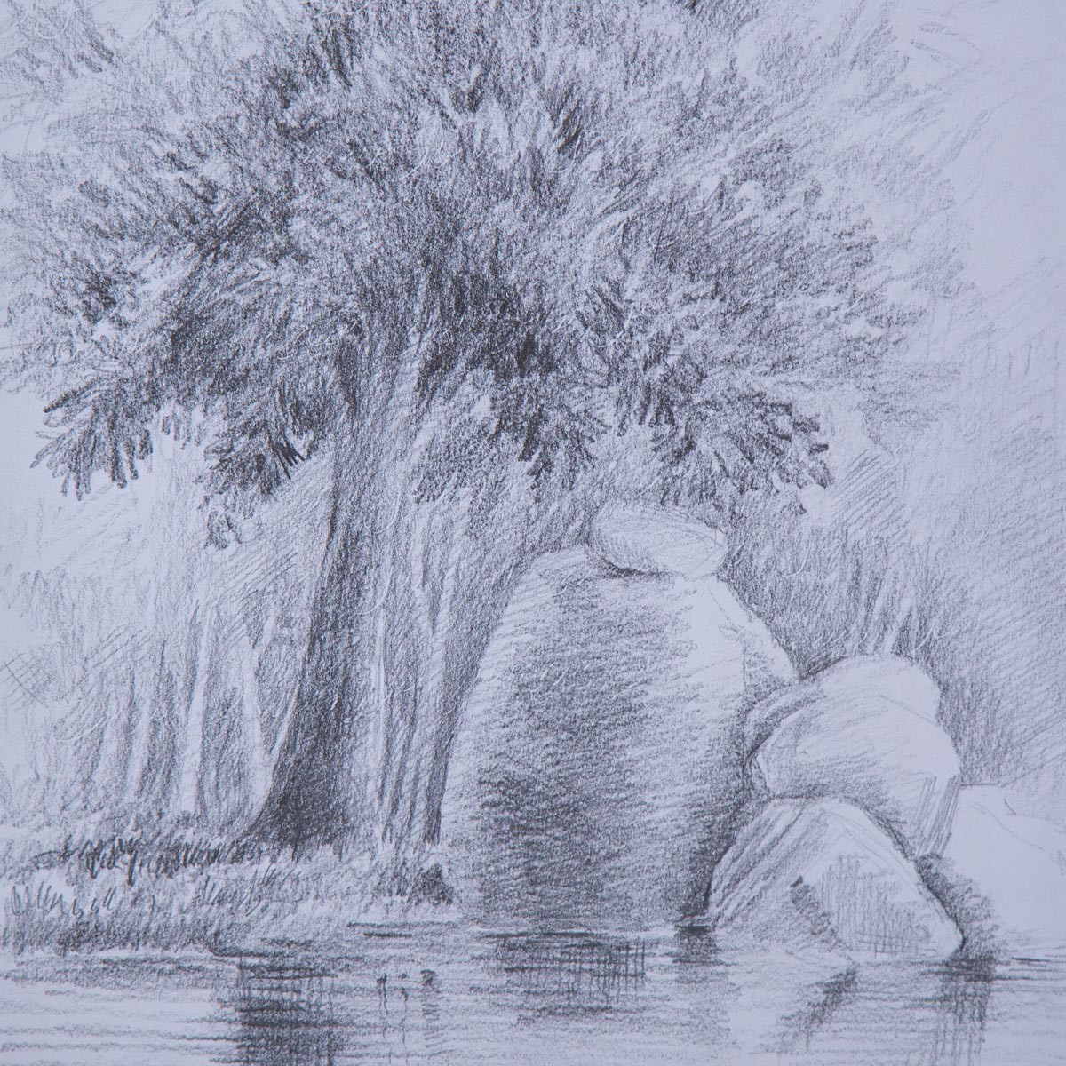 Black and White Nature Sketch| Water Color Artwork 2