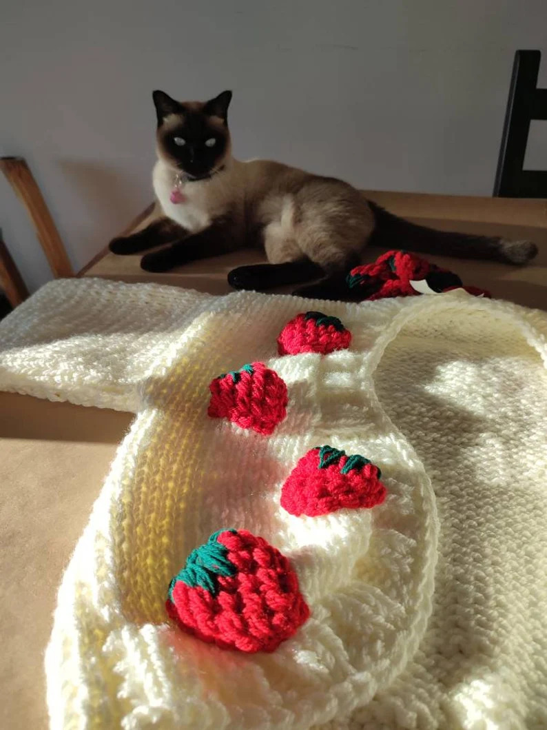 Strawberry chunky crop cardigan for woman with 14 handmade strawberries 6