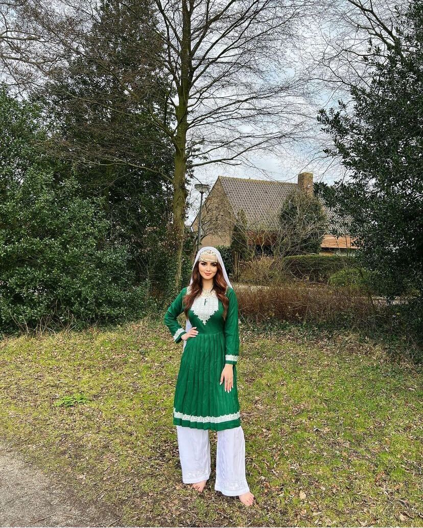 Hazargi Design Party Dress  | Hand-embroidered Women Dress 5