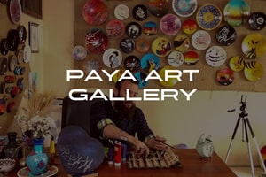 Paya Art Gallery logo