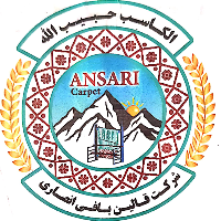 Ansari Carpet logo