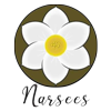Narsees Cloth's Design logo