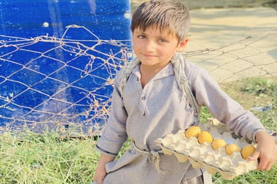 Support Farmanullah, an Orphaned and Hardworking Child