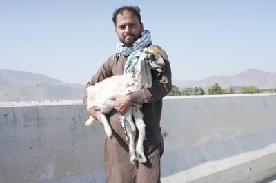 Can’t afford a full Qurbani? Share one – earn the full reward!