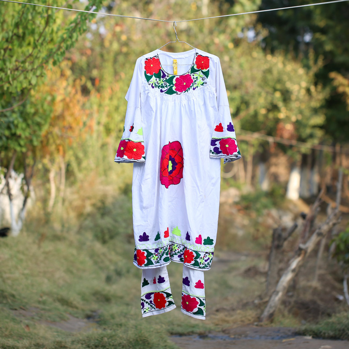 Elegant Tajiki Dress