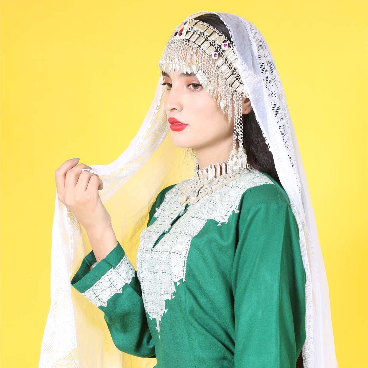 Hazargi Design Party Dress  | Hand-embroidered Women Dress