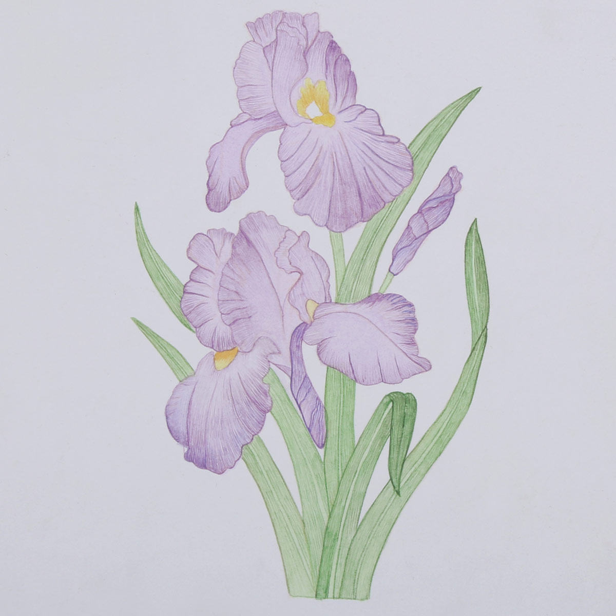 Water Color Lily Flower Bunch Artwork | Wall-Hanging Painting