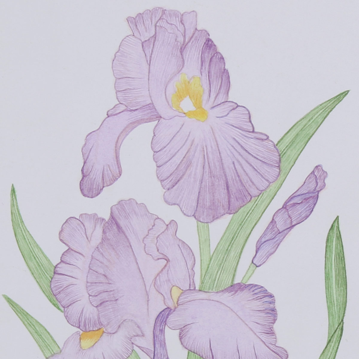 Water Color Lily Flower Bunch Artwork | Wall-Hanging Painting
