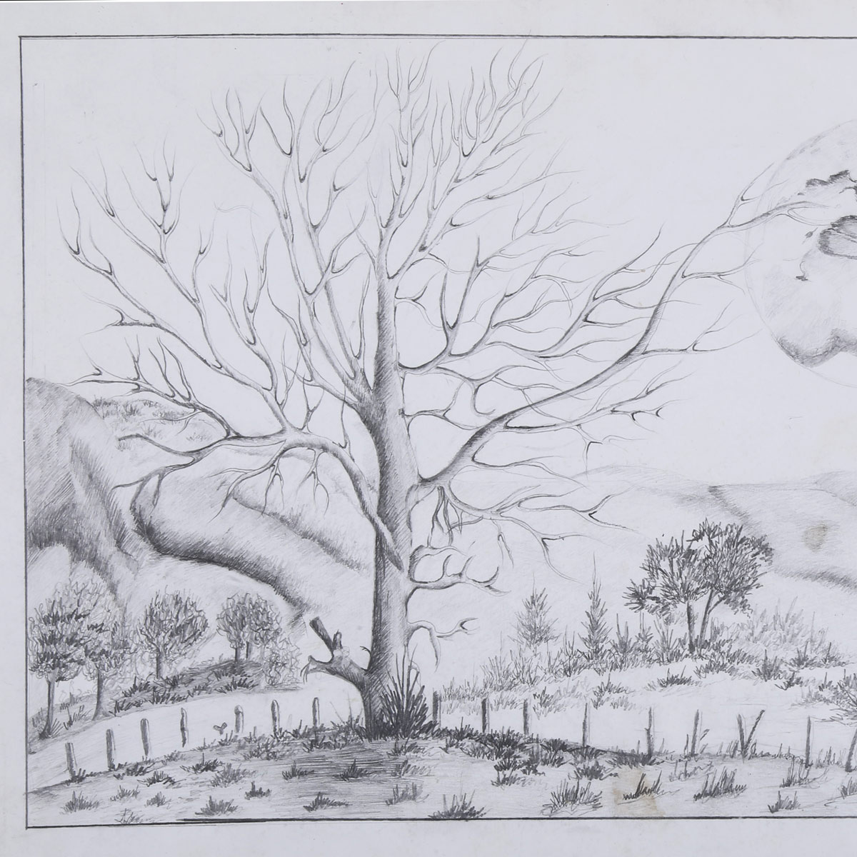 Solo Autumn Tree Pencil Artwork | Autumn Village View Sketch Work 