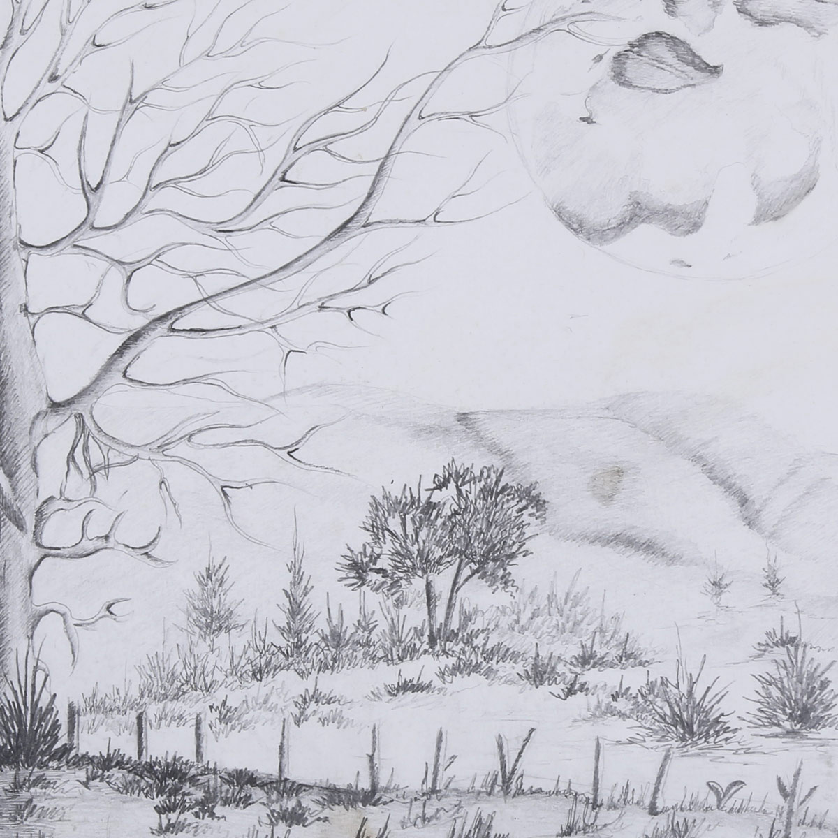 Solo Autumn Tree Pencil Artwork | Autumn Village View Sketch Work 