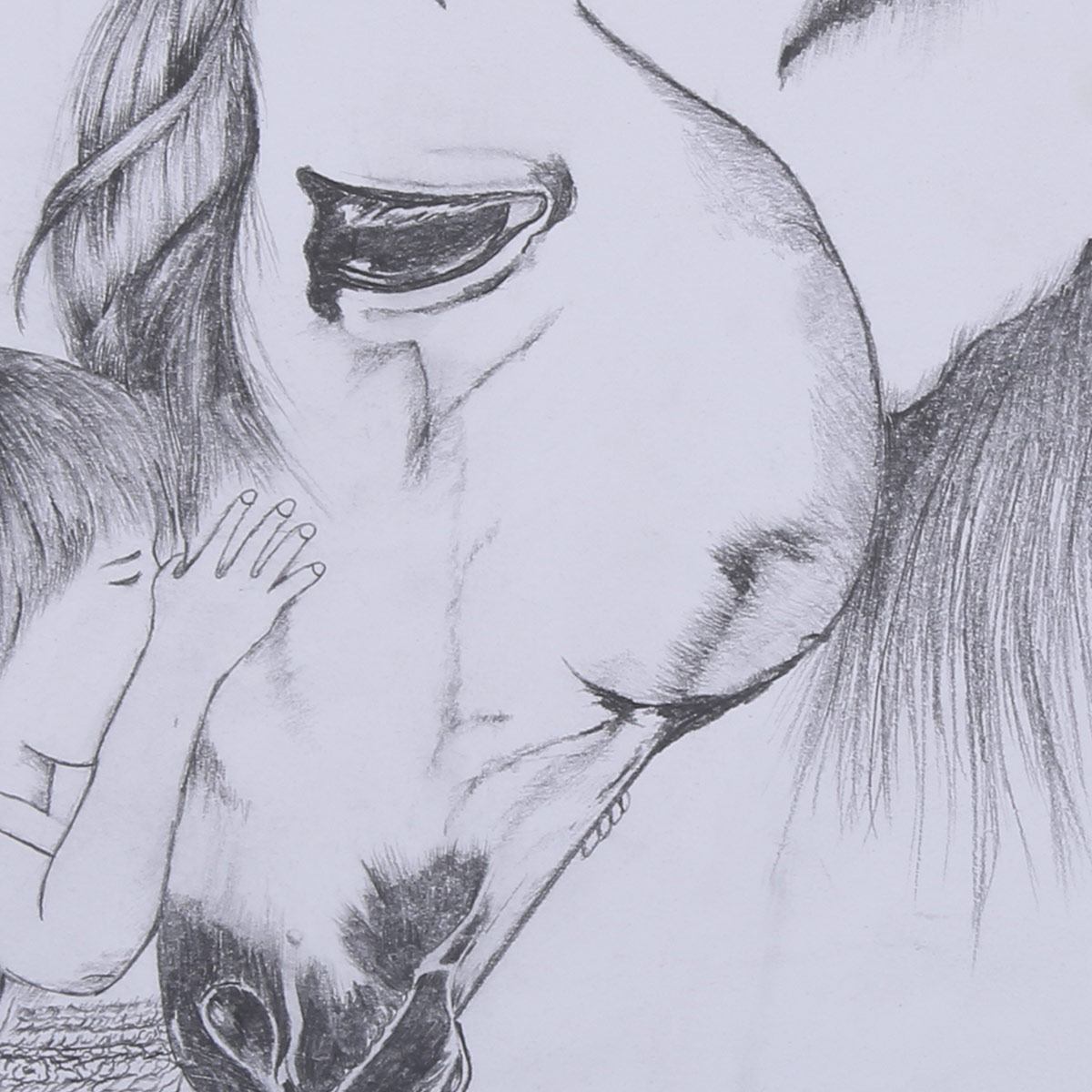 Girl with Her Horse Sketch Work | Pencil Wall Artwork