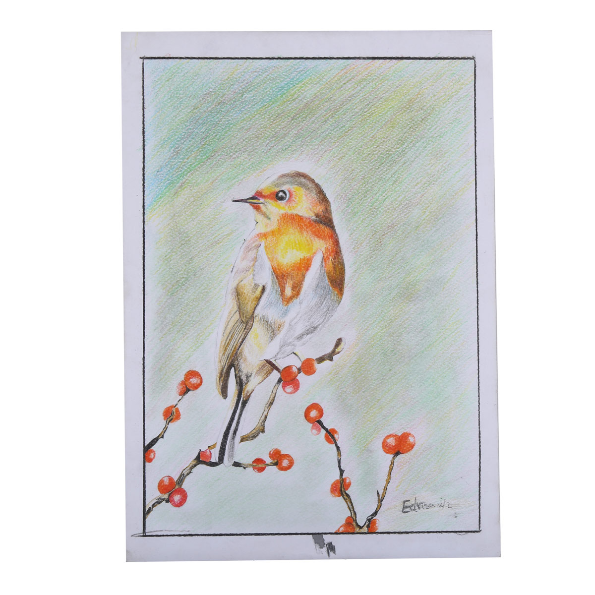 Bird Sitting on a Tree Branch Sketch Work | Pencil Wall Artwork