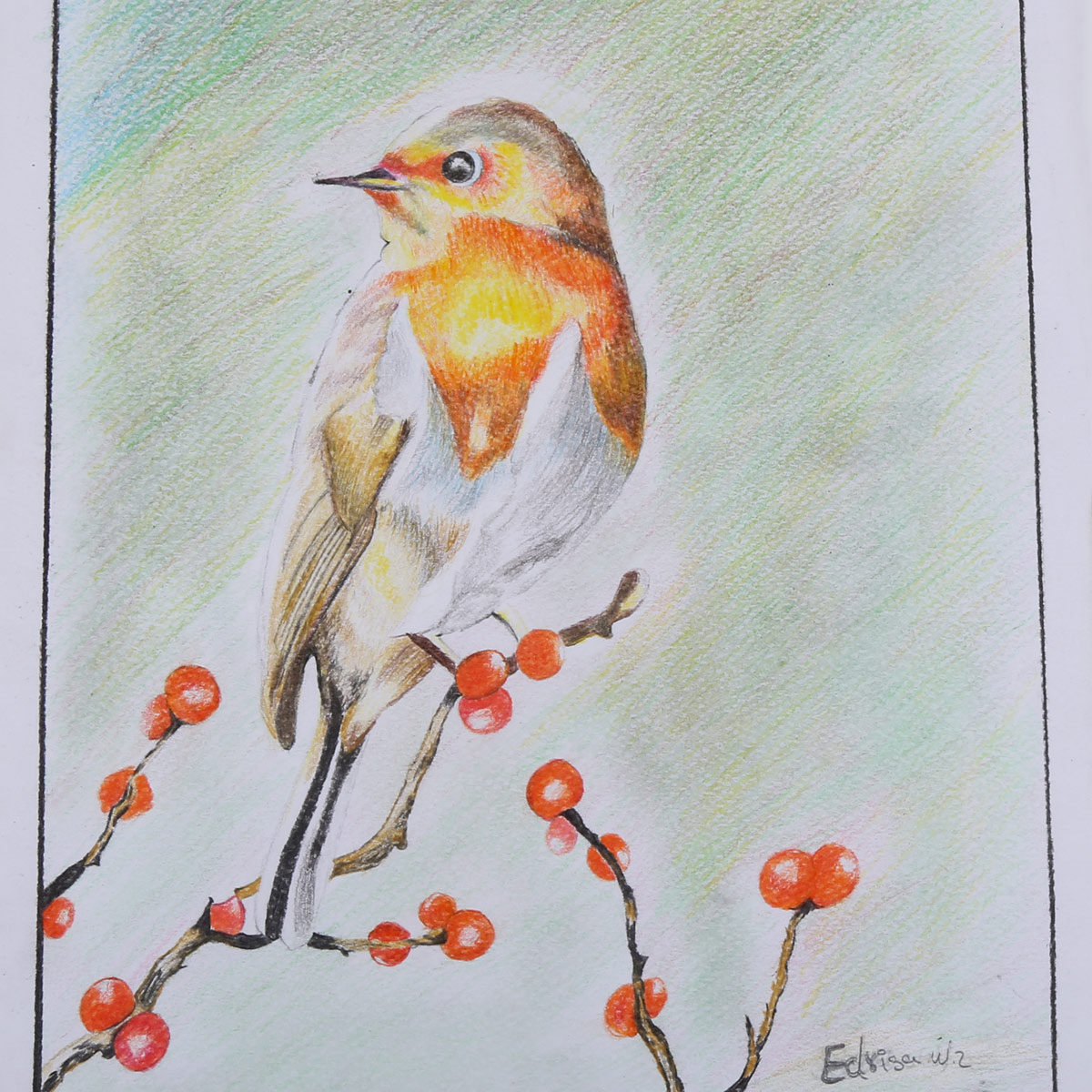 Bird Sitting on a Tree Branch Sketch Work | Pencil Wall Artwork