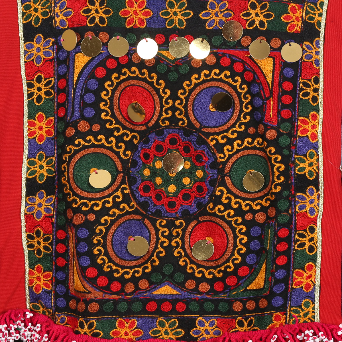 Floral & Coin Embroidered Patched Skirt Dress | Kashi Balloon Sleeves Dress