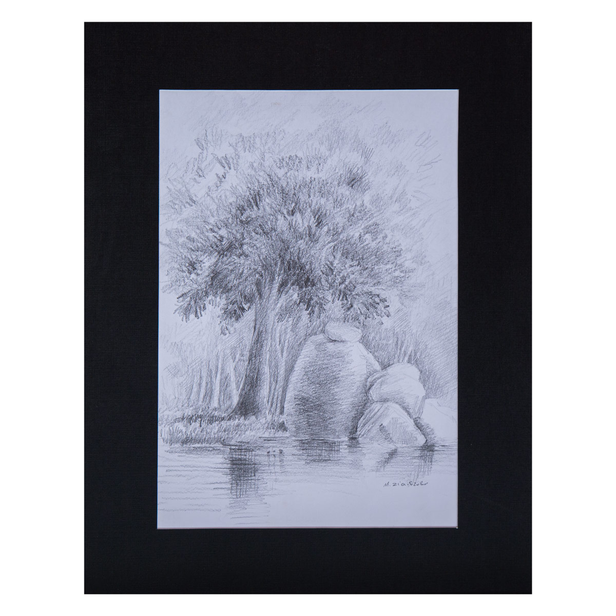 Black and White Nature Sketch| Water Color Artwork