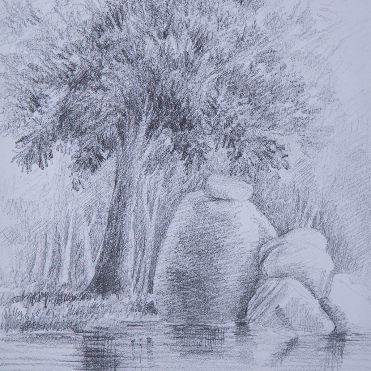 Black and White Nature Sketch| Water Color Artwork