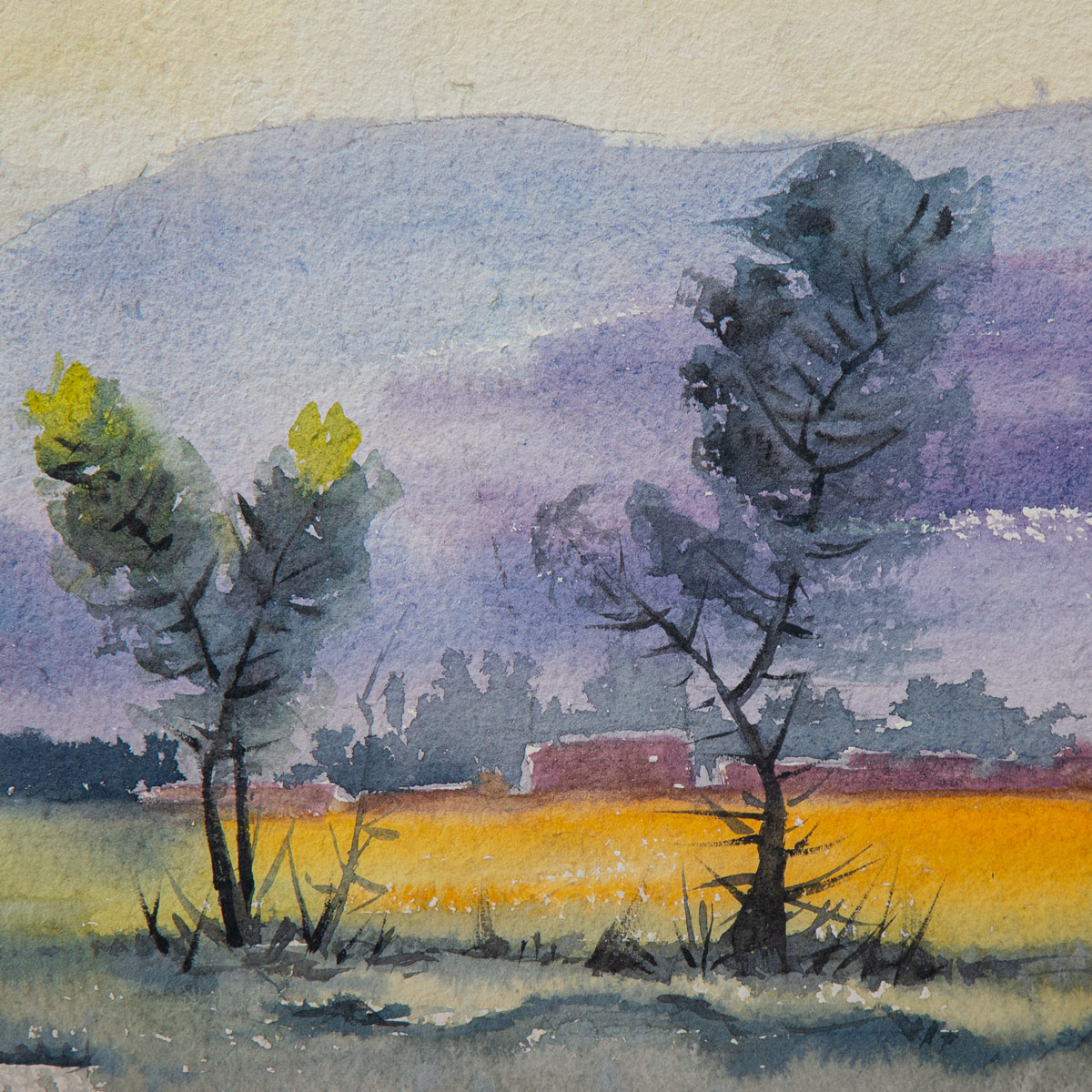 Afghan Village Portrait| Water Color Artwork