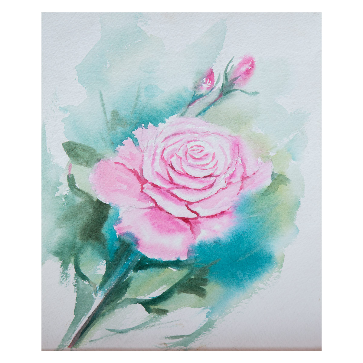 Pink Rose Painting| Water Color Painting