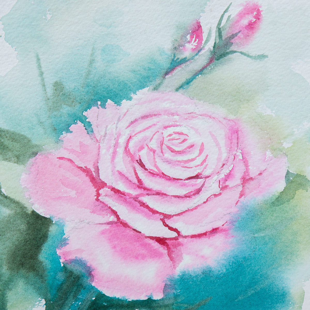 Pink Rose Painting| Water Color Painting