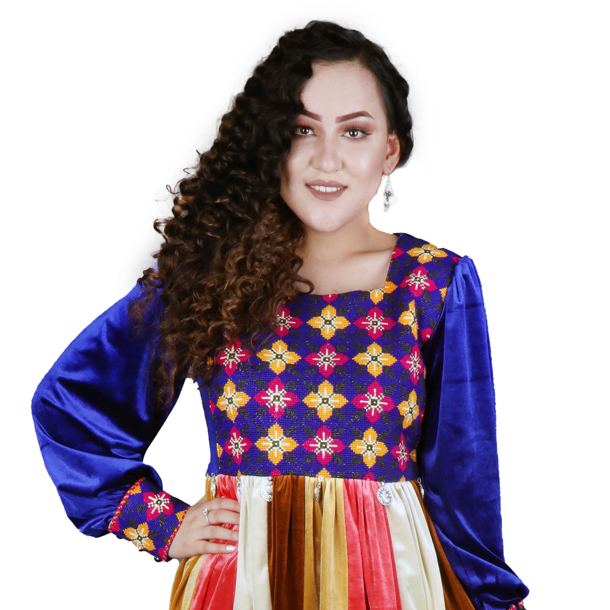 Velvet Pleated Maxi| Front and Sleeves Embroidered Dress