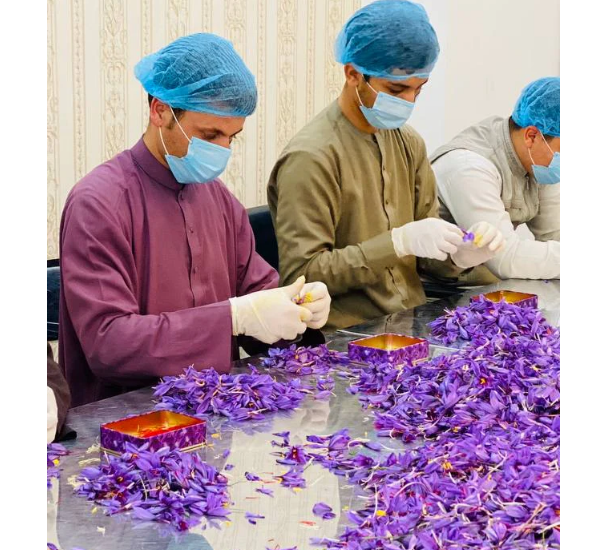 4gr Saffron, Freshly Harvested Saffron